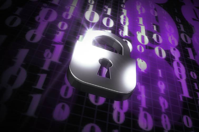 Mbrojtja e të dhënave dhe privatësisë